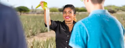 Foto-17-10-2022-11-40-53